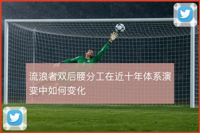 流浪者双后腰分工在近十年体系演变中如何变化